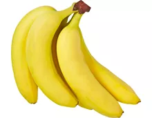 Bananen Rainforest Alliance