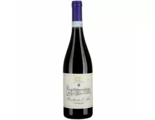 Barbera d'Alba DOC Superiore Tenuta Cappallotto