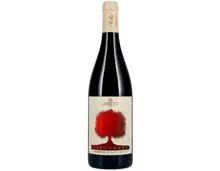 Barbera d'Asti Docg Gelsomora Cossetti (2022) – Rotwein, Italien (0.75l)