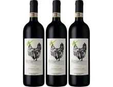 Barbera d'Asti Docg Primevi Cascina San Michele 3x 75cl (2022) – Rotwein, Italien (0.75l)