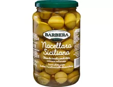 Barbera grüne Oliven Nocellara Siciliana