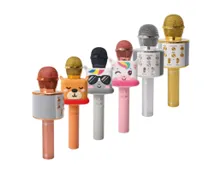 BAUHN Karaoke Mikrofon