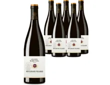 Beaujolais Gamay Maison Castel 6x 75cl (2022) – Rotwein, Frankreich (0.75l)
