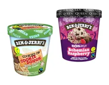 Ben & Jerry’s vegan