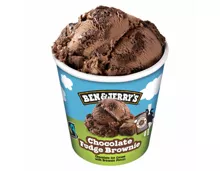 Ben&Jerry's Chocolate Fudge Brownie