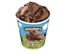 Ben&Jerry's Chocolate Fudge Brownie
