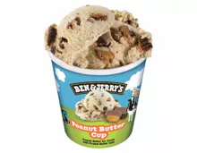 Ben&Jerry's Peanut Butter Cup