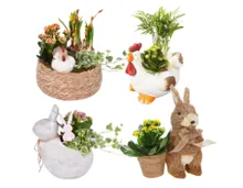 Bepflanztes Osterarrangement