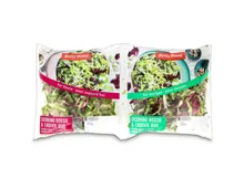 Betty Bossi Cicorino Rosso & Endivie 2x60g