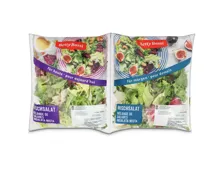 Betty Bossi Mischsalat 2x60g