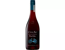 Bicicleta Cono Sur Pinot Noir
