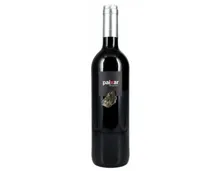 Bierzo DO Paixar Dragonte Bodegas y Viñedos Luna Beberide (2021) – Rotwein, Spanien (0.75l)