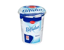 Bifidus Naturjoghurt