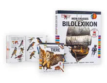 Bildwörterbuch/-lexikon
