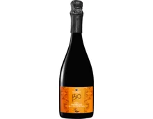 Bio Anno Domini extra dry Prosecco DOC Millesimato