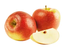 Bio Äpfel