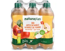 Bio Apfelschorle trüb 6x50cl