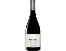 Bio Argento Single Vineyard Finca Agrelo Malbec