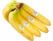 Bio Bananen