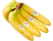 Bio Bananen
