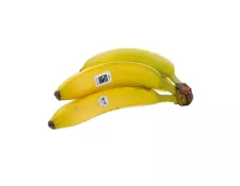 Bio Bananen Max Havelaar