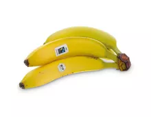 Bio-Bananen Max Havelaar