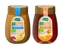 Bio Blütenhonig
