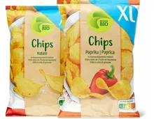 Bio Chips