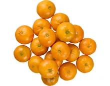 Bio-Clementinen