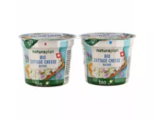 Bio cottage cheese 2x115g