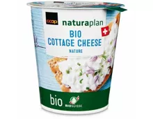 Bio cottage cheese nature