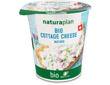 Bio cottage cheese nature