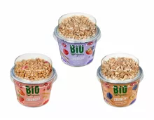 Bio Crunchy Joghurt