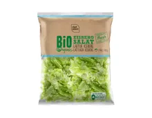Bio Eisbergsalat