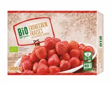 Bio Erdbeeren