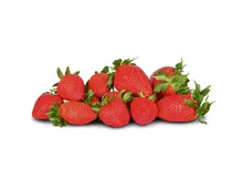 Bio Erdbeeren