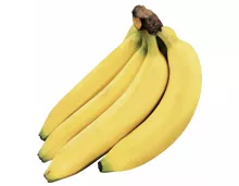 Bio Fairtrade Bananen