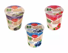 Bio Fruchtjoghurt