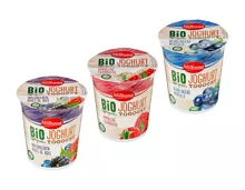 Bio Fruchtjoghurt