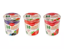 Bio Fruchtjoghurt