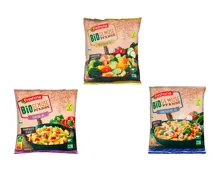 Bio Gemüsepfanne gewürzt