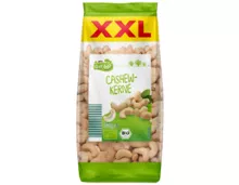 BIO GUT XXL Bio Nussmix, Bio Cashew