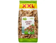 BIO GUT XXL Bio Nussmix, Walnuss