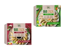 Bio Gyoza japanische Teigtaschen