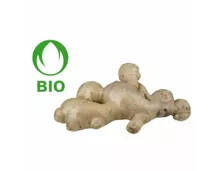 Bio Ingwer ca. 200g