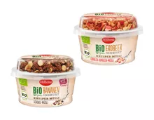 Bio Joghurt mit Knusperflakes
