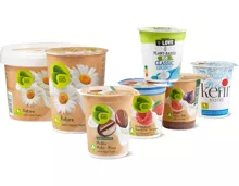 Bio Joghurts und Migros Bio V-Love Vegurts