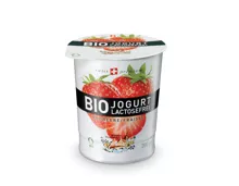 Bio Jogurt Laktosefrei