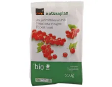 Bio Johannisbeeren