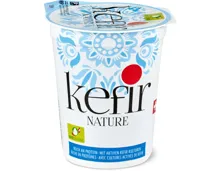 Bio Kefir Nature